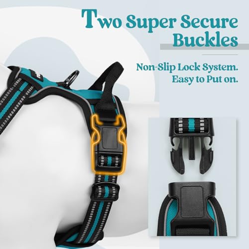 Image of rabbitgoo Dog Harness No Pull with 2 Leash Clips, Adjustable Soft Padded, Reflective Oxford No Choke Pet Vest with Easy Control Handle for Large Dogs, Teal, L