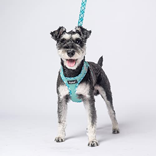 Pupteck Dog Harness And Leash Set For Small Medium Dogs No Pull Step-In Soft Mesh Puppy Cat Vest Harnesses Reflective At Night, Green S #TOP1