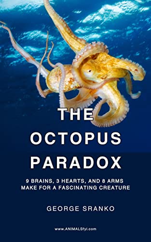 The Octopus Paradox: 9 Brains, 3 Hearts, and 8 Arms Make for a Fascinating Creature