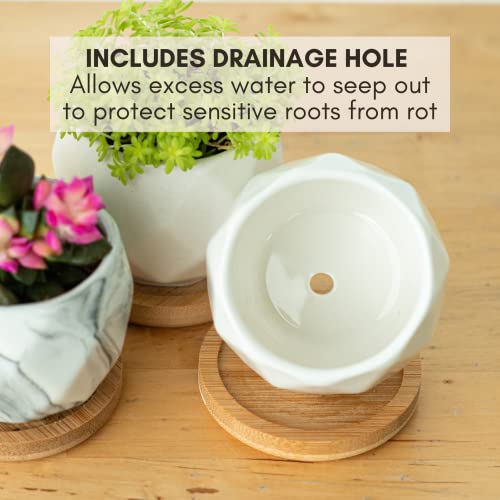 Ilohaus Succulent Pots Set Of 6, Plant Pots Indoor, Succulent Planters, Small Plant Pots, Cactus Pot, Cute Plant Pots, Small Flower Pots, Small Succulent Pot, Small Planter Set #TOP2