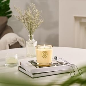 M&SENSE Natural Soy Wax, Cheer Champagne Scented Aromatherapy Candle Gift for Women and Men - 9.2 oz | 50 Hours Burn Time, Champagne |Luxury Home Scented and Home Décor MSENSE Natural Soy Wax Cheer Champagne Scented Aromatherapy Candle Gift for Women and Men 92 oz 50 Hours Burn Time Champagne Luxury Home Scented and Home Decor
