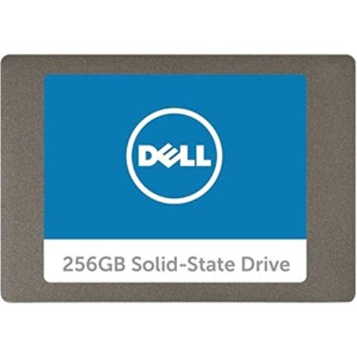 Dell Serial ATA �\���b�h�X�e�[�g�n�[�h�h���C�u - 256 GB