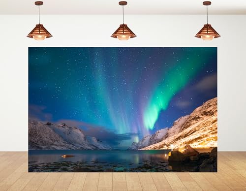 17x10ft Northern Lights Backdrop ICY Arctic Tundra Distant Snow Mountains