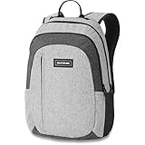 Dakine Herren, Rucksack Factor, Grauscale, Grau, 22L