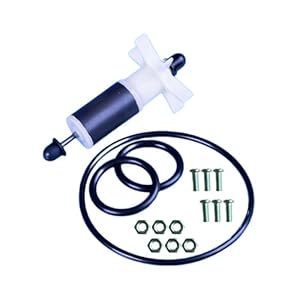 Voor Lay Z Spa Waterpomp Reparatieset, 58113, E02 voor Coleman Impeller, Roestvrij Thrustwasser & 3 Seals, Schroeven Roestvrijstalen Schacht