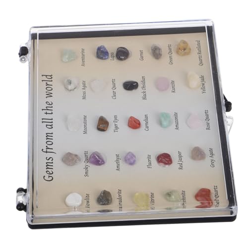 FELTECHELECTR Mini Crystal Display Case 25 Specimen Samples Rock and Mineral Activity Kit for Boys and Girls Educational Present
