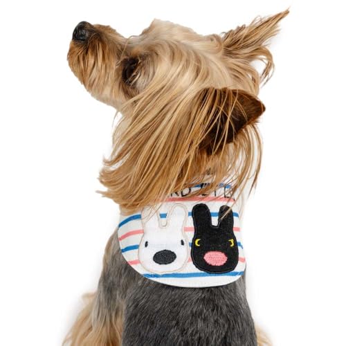 ybgp_CX   t  {[_[ N[o_i TƃKXp[ zCg yQl SS gCv[h ps (`5kg) ybgp_CXcX72XܓWJ2025/10/1_z