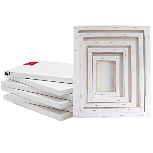 S & E Teacher's Edition 10 Pcs Stretched White Blank Canvas, For Painting, Acrylic Pouring, Oil Paint & Watercolor Art Media #TOP1