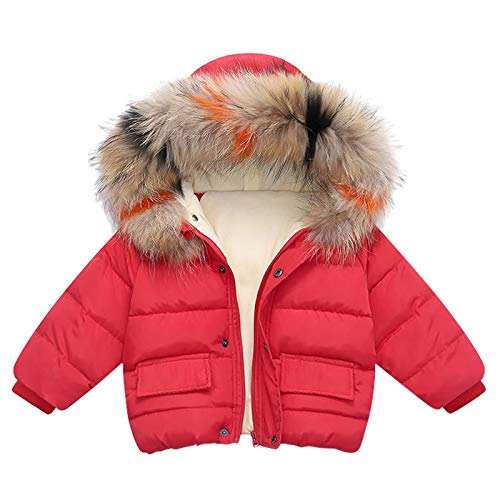 KAGAYD Toddler Girls Boys Winter Warm Puffer Coat Coats Solid Color Thicken Jacket Zip-up Outerwear