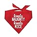 Kinda Naughty Kind Nice Christmas Dog Bandana (Red, OS 88)
