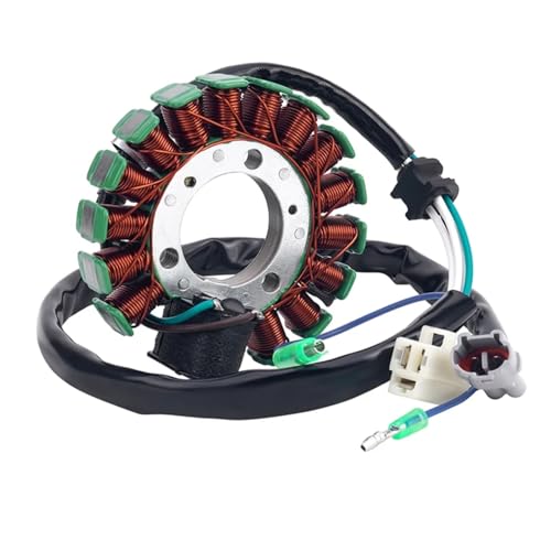 Bobine de stator haute performance thermique pour moteur TW200