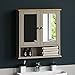Bath Vida Priano Mobiletto da Bagno a Doppia Anta in Legno, Grigio, a Specchio, Grey Double Door Bathroom Cabinet, H 58 x L 56 x P 13 cm Circa