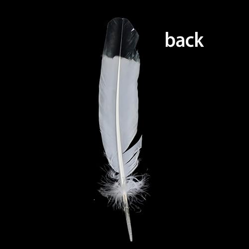 Miniatura 4 de Ws&Wt 20 plumas de pavo de 10 a 12 pulgadas para manualidades, plumas redondas, alas derechas e izquierdas, decoración de fiesta, disfraz de fiesta,