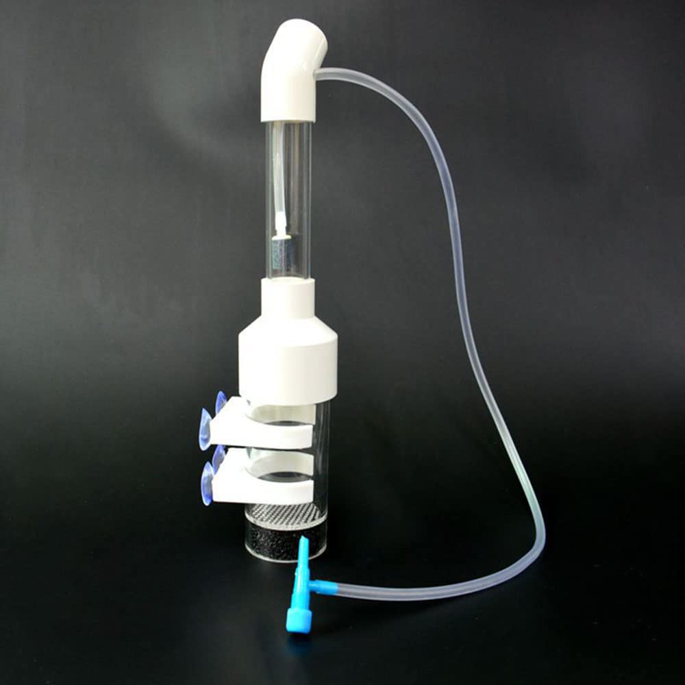 Incubateur d'œuf de poisson pour bébé - 50 mm - Pour aquarium, cichlidé, aquarium