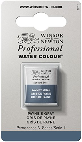 Winsor & Newton Professional Water Colour Paint, Half Pan, Payne's Gray