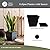 The HC Companies Eclipse Square Plastic Planter w/Attached Saucer - Outdoor & Indoor Plant Pot with Drainage Holes - Lightweight, UV-Resistant Plastic Pots for Plants (12" Black, Pack of 2)