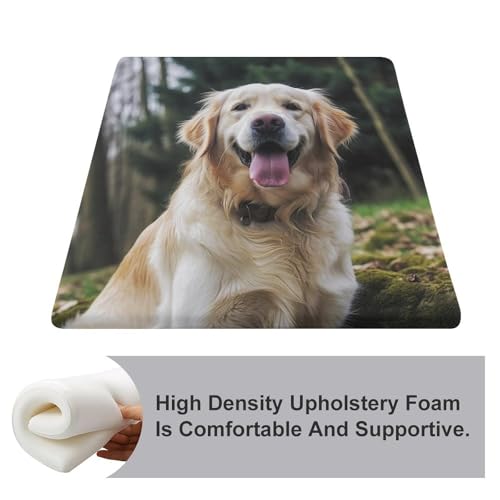 Coussin de chaise Golden Retriever en mousse à mémoire de forme 38cm antidérapant - 4