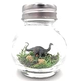 Fish Belli Mini Dinosaur Desk Pet Gray with Adoption Certificate Handmade USA Funny Stocking Stuffer White Elephant Gag Gift for Adults Kids