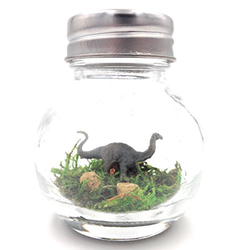 Fish Belli Mini Dinosaur Desk Pet Gray with Adoption Certificate Handmade USA Funny Stocking Stuffer White Elephant Gag Gift for Adults Kids