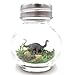 1 Inch Pet Apatosaurus Dinosaur Desk Diorama with Adoption Certificate