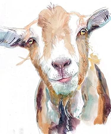 デジタル油絵デジタルキット絵画 ヤギの動物 手作りペイントdiy絵画デジタル油絵 40x50cm お得な情報満載 フレームレス ホームオフィス装飾