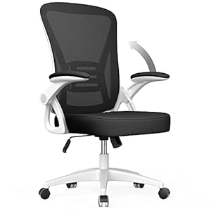 naspaluro Office Chair Ergonomic Desk with 90° Flip-up Armrest Lumbar Support, Height Adjustable Chair, Executive Swivel Computer Padded Seat Cushion for Home/Office-White, 50 x 50 x 92 CM, (M021W)