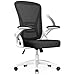 naspaluro Office Chair Ergonomic Desk with 90° Flip-up Armrest Lumbar Support, Height Adjustable Chair, Executive Swivel Computer Padded Seat Cushion for Home/Office-White, 50 x 50 x 92 CM, (M021W)