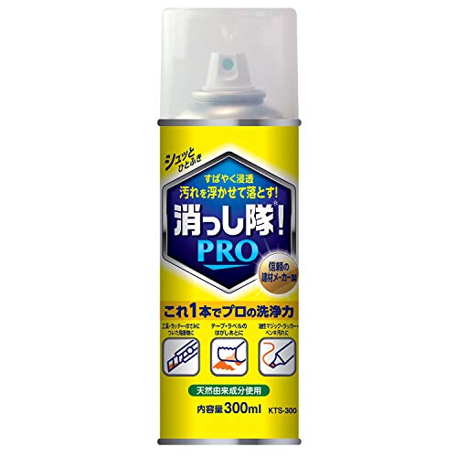 ABC GA][^Cv Ƃ ! PRO KTS-300 300ml