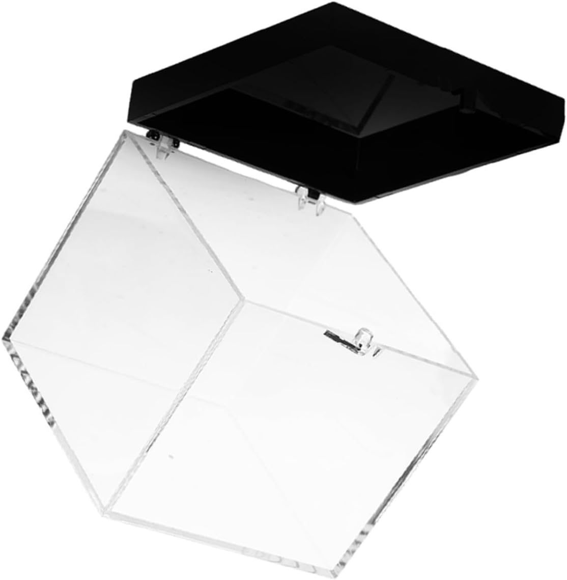 2pcs Box Elegant Specimen Collection Box Display Case Lids for Home Store