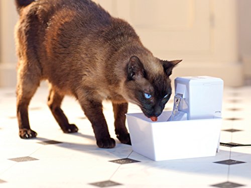 Katzenbrunnen PetSafe Cube Aqua mit Aktivkohlefilter