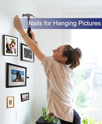 Eujqo Nails for Hanging Pictures Small Nails Picture Hanging Nails 700Pcs Finishing Nails Hardware Nails for Wall Wood Nails