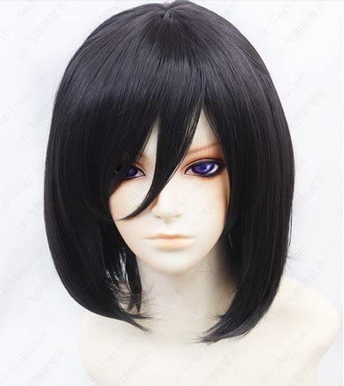 ZQTUMM 進撃の巨人ミカサ・アッカーマン風 コスプレウイッグ+ウイッグネット