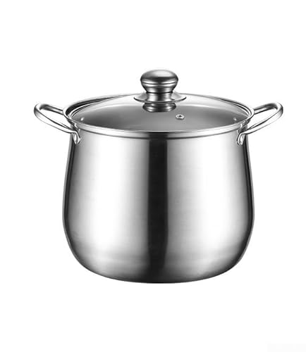 Zilimontt Extra Large Stainless Steel Stock Pot, 22cm x 17.3cm x 19.2cm, 304 Stainless Steel, Heat-Resistant Glass Lid, 958g, Silver, With Lid