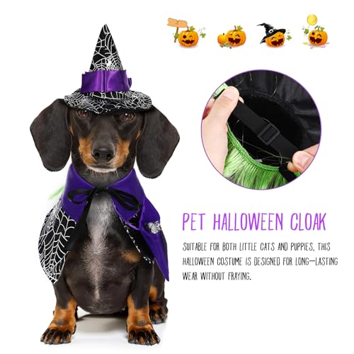 Disfraz Halloween para Perros Pequeños Capa y Sombrero miniatura 5