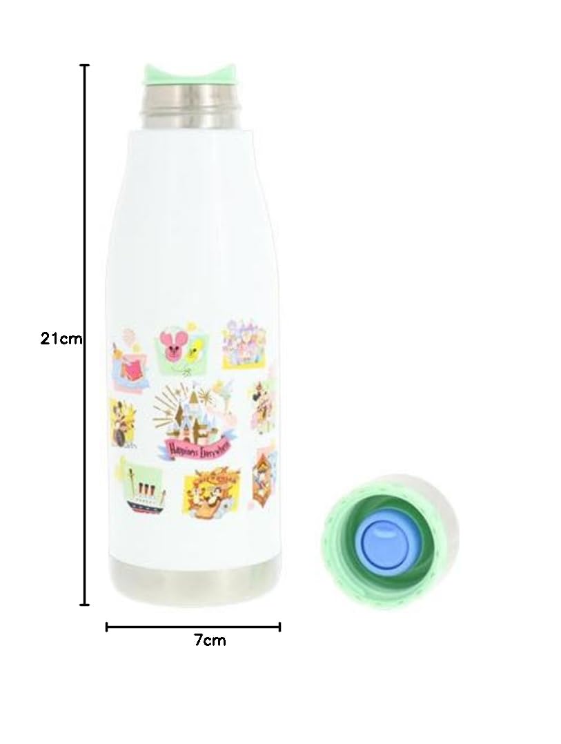 アメリカ カリフォルニアディズニーパークアイコン ステンレス製ウォーターボトル アメリカ カリフォルニアディズニーパークアイコン ステンレス製