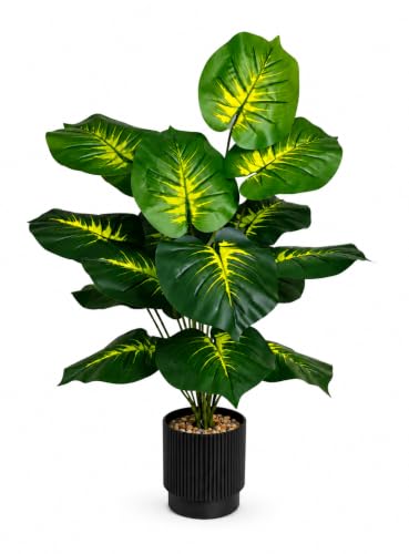 Image of Cocco.BUA Artificial Dieffenbachia Plant with Black Pot |18 Leaves | 76 cm (2.5 Feet) Tall Realistic Indoor Plant for Living Room, Office & Home Decor