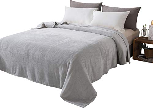 Style Basics Silky Soft Thick Plush Bed Blanket