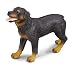 Collecta Rottweiler Figure
