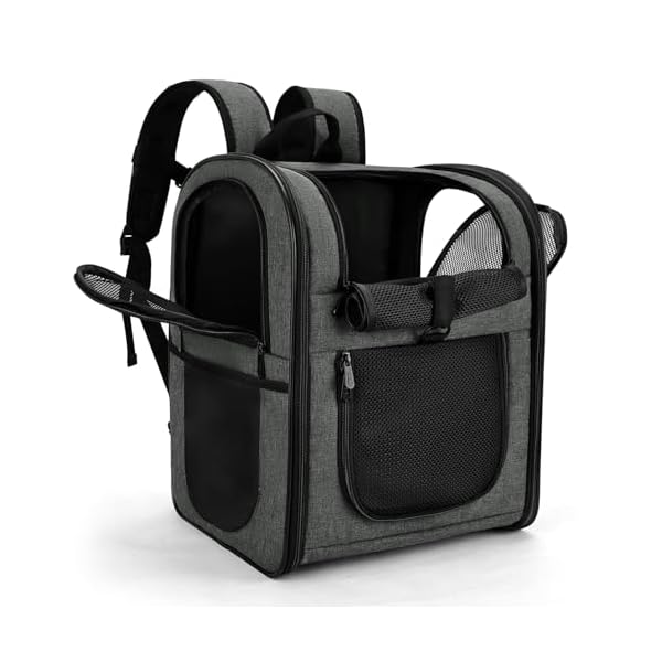 Apollo Walker Pet Carrier Backpack for 4-18lb Cats and Dogs, Puppies, Safety Features and Cushion Back Support | for Travel, Hiking, Outdoor Use (Gray)