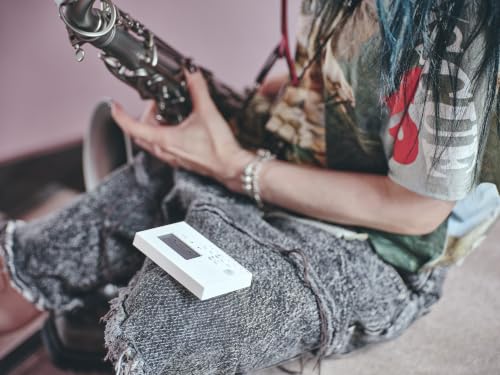 KORG TM-1