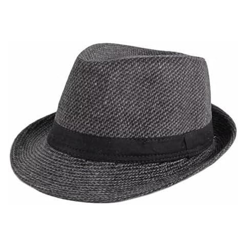 Chapeau Fedora Plancholo classique Cover