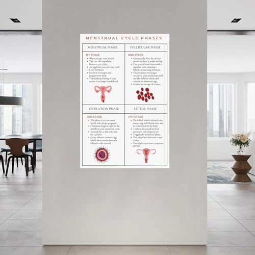 Tableau Hormone Rhythm Chart encadré de qualité supérieure 20x30cm - 3