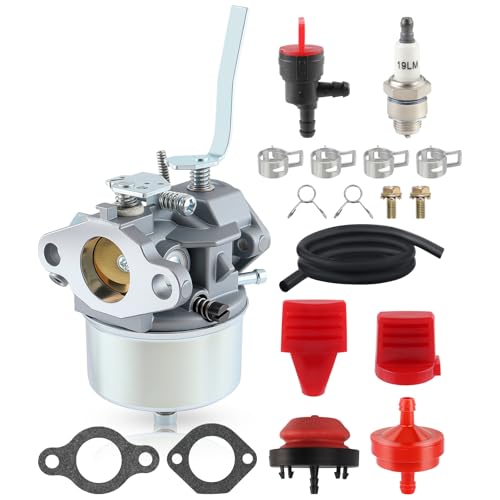 GoaMotors H35 Carburetor 632114 with Fuel Filter Fuel Line