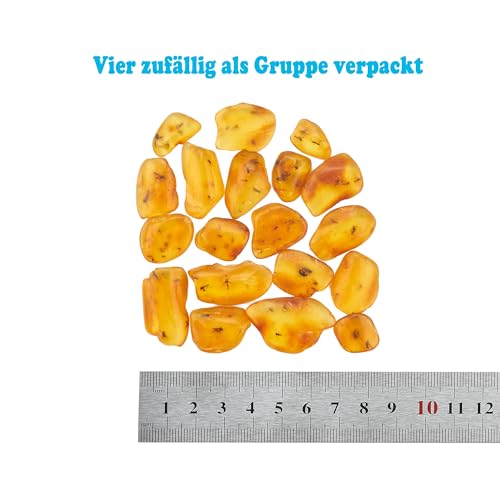 ELEGAMBER Natürlicher fossiler Baltischer Bernstein, Insekten von vor Millionen von Jahren, 4 Sets, echte Insektenproben, Wissenschaft, Bildung, Tierexemplare (Mindestens Zwei Insekten fossilien)