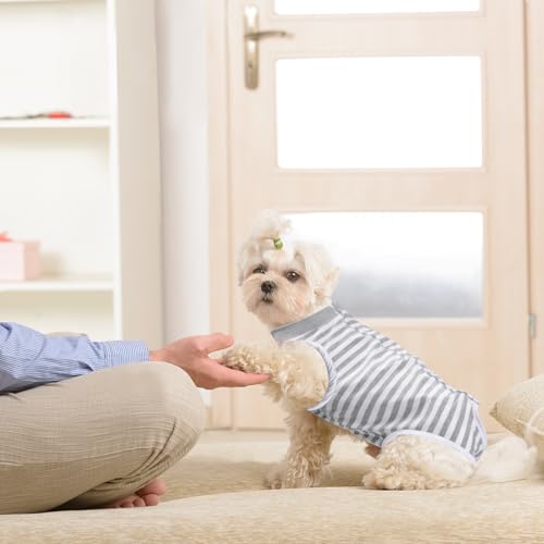 Image of FEimaX Dog Surgery Recovery Suit Female and Male Spay with Pee Hole, Pet Body Suits for Puppy After Spayed, Neuter Surgical Onesie for Small and Medium Dogs Cats, Alternative Bandages E-Collar & Cone