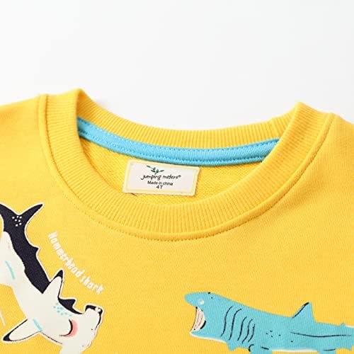 HSTiSan Toddler Boys Cotton Sweatshirt Luminous Dinosaur Pattern Pullover Sweater Long Sleeve Crewneck Tops Tee 2-7T 5 415MJ1FZtuL. AC