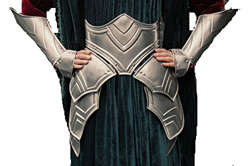 Female Steel Skirt Princess Women's Lady Warrior Armor Custom Made Handcrafted