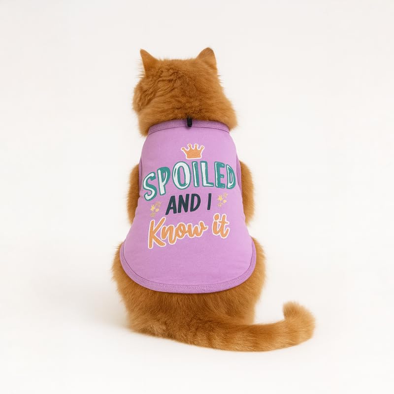 Image of Thunder Tails Printed Cat T Shirt for Cats and Kittens | Breathable Cotton Cat Clothes with Round Neck | Pet Dress for Small to Large Cats Apparel (Spoiled & I Know it, L)