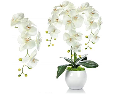 First Polska Künstliche Orchidee im Keramik Dekotopf - Gesamthöhe: ca. 55cm | Stoffblüten | Farbe: Weiß - Ecru | Gesteck Orchidee Kunstpflanze Arrangement Kunstblumen Tischdeko Fensterschmuck Cover