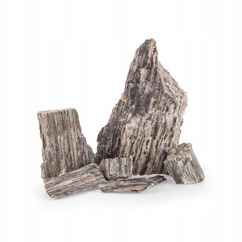 TD STONES Aquarium Schiefersteine Holzstein 3 kg – Strukturierte Natursteine Deko für Aquascaping, Rückwand & Höhlen – Terrarium Zubehör – Handverlesen, Wasserneutral, Sofort Einsetzbar, Dekosteine